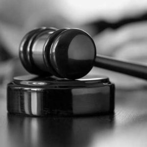 litigation support