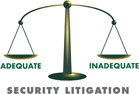 litigation support