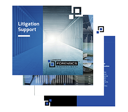litigation support